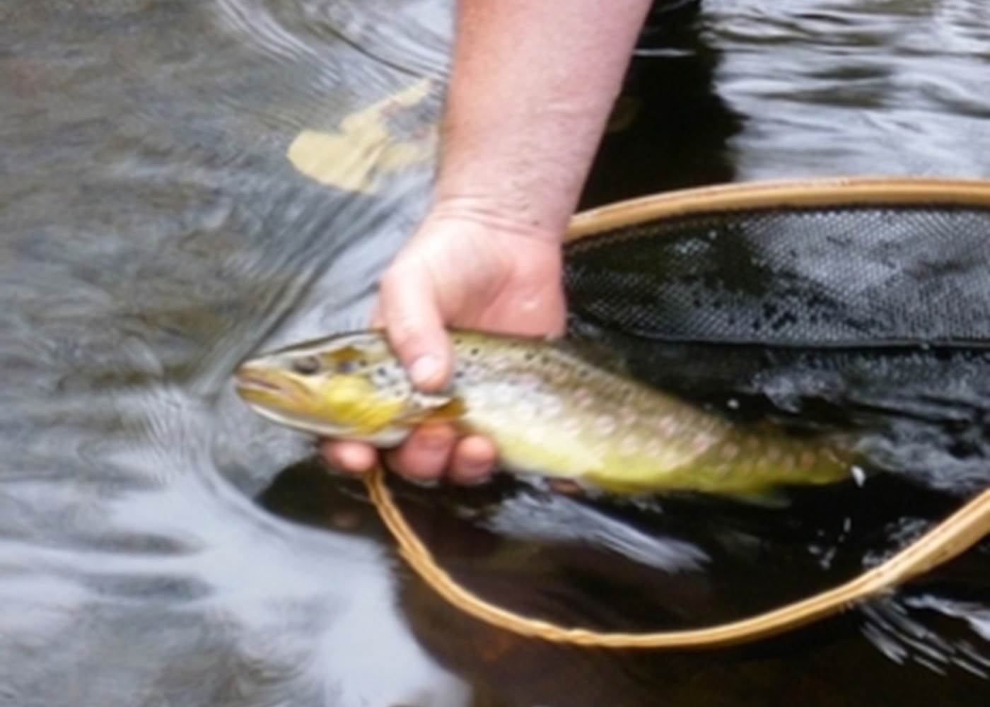 ami pêcheur, le limousin, un pays pour vous pêcheur, hébergement pêche 87120