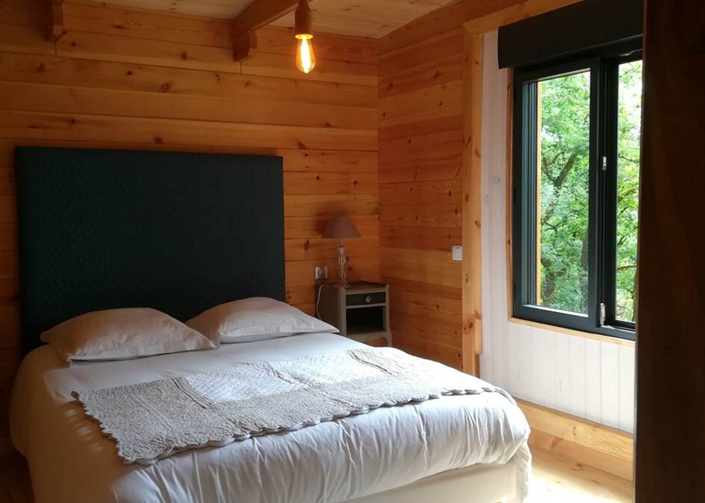 3398fed8-0bd5-4ee4-a74b-45147e8d4c51