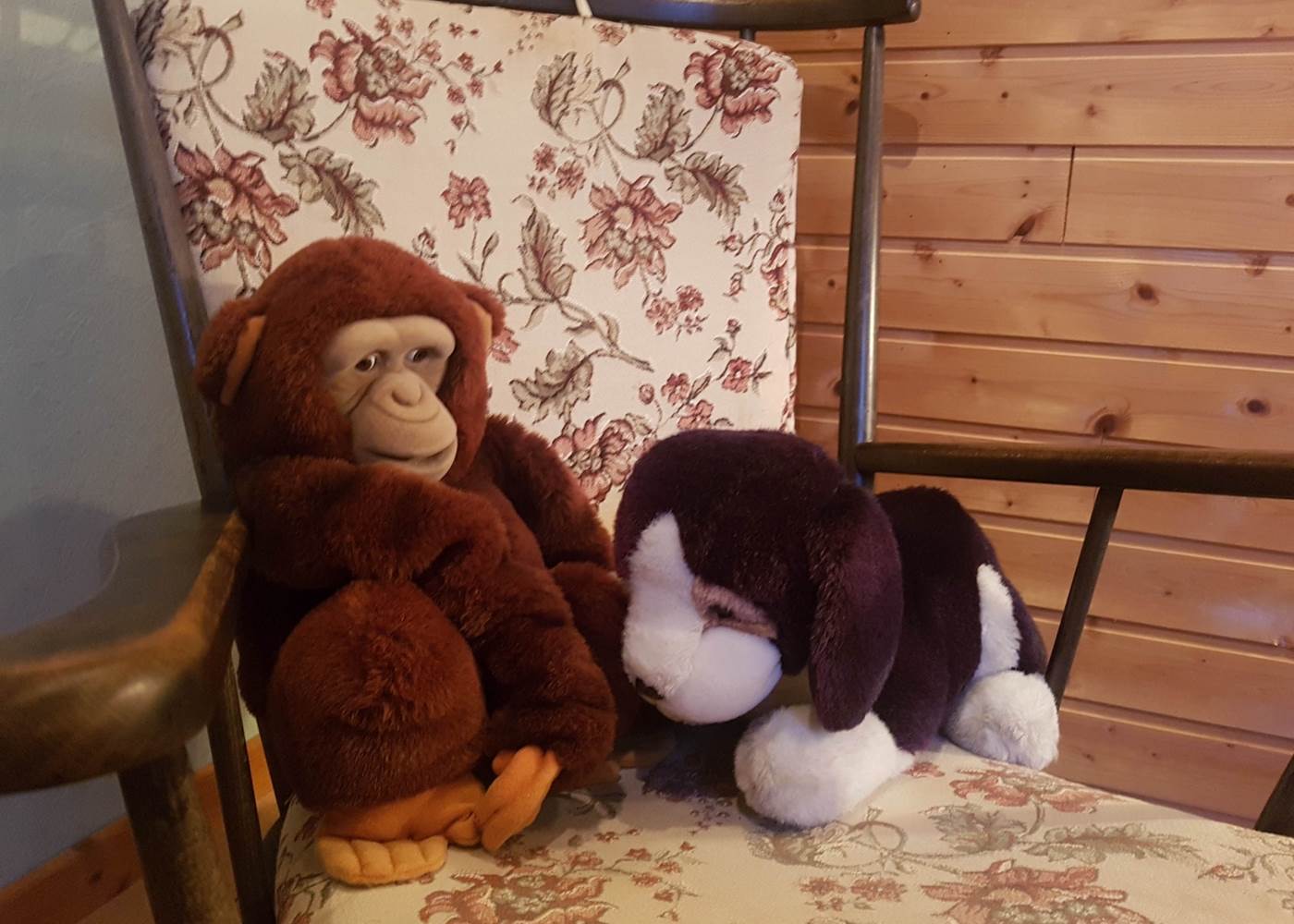 détails Chambre d'hôte Maison Masjoubert, repos en Haute-Vienne