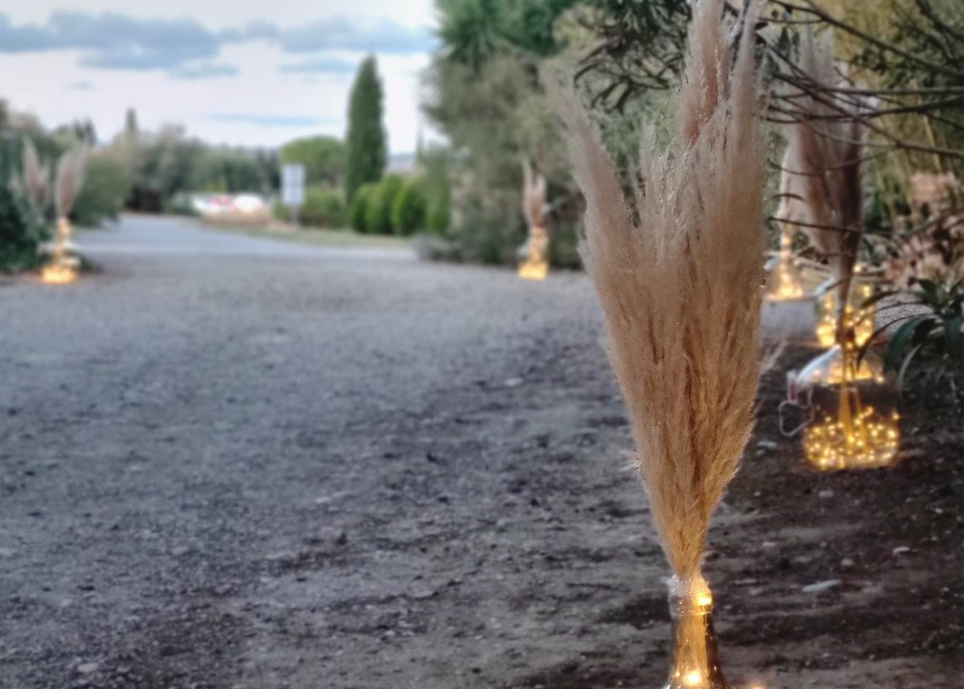 Reception Room in a vineyard