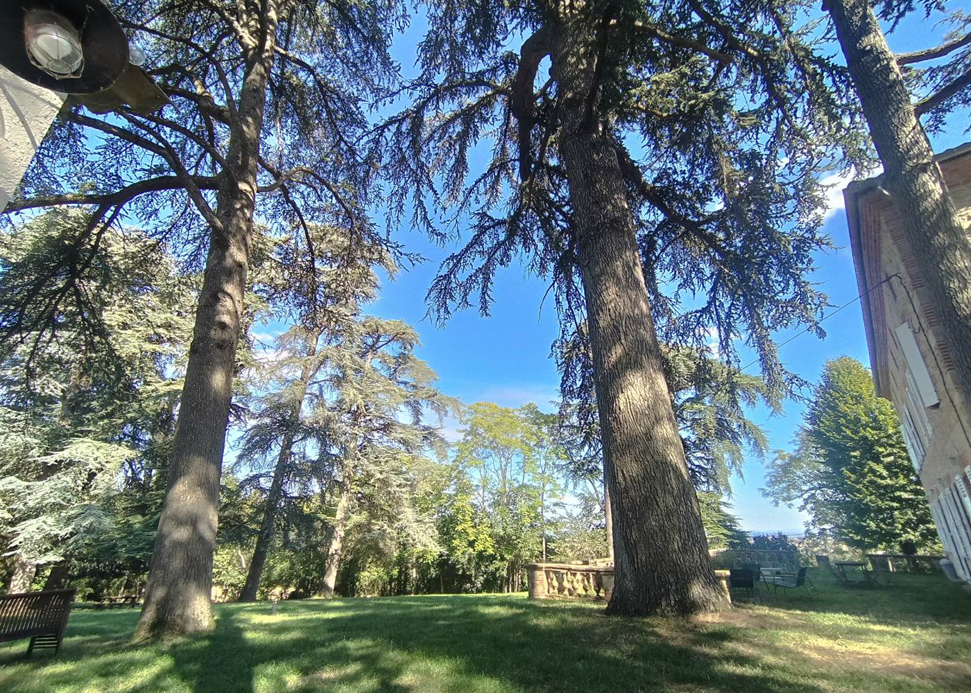 jardin_maison_hotes_lavaur