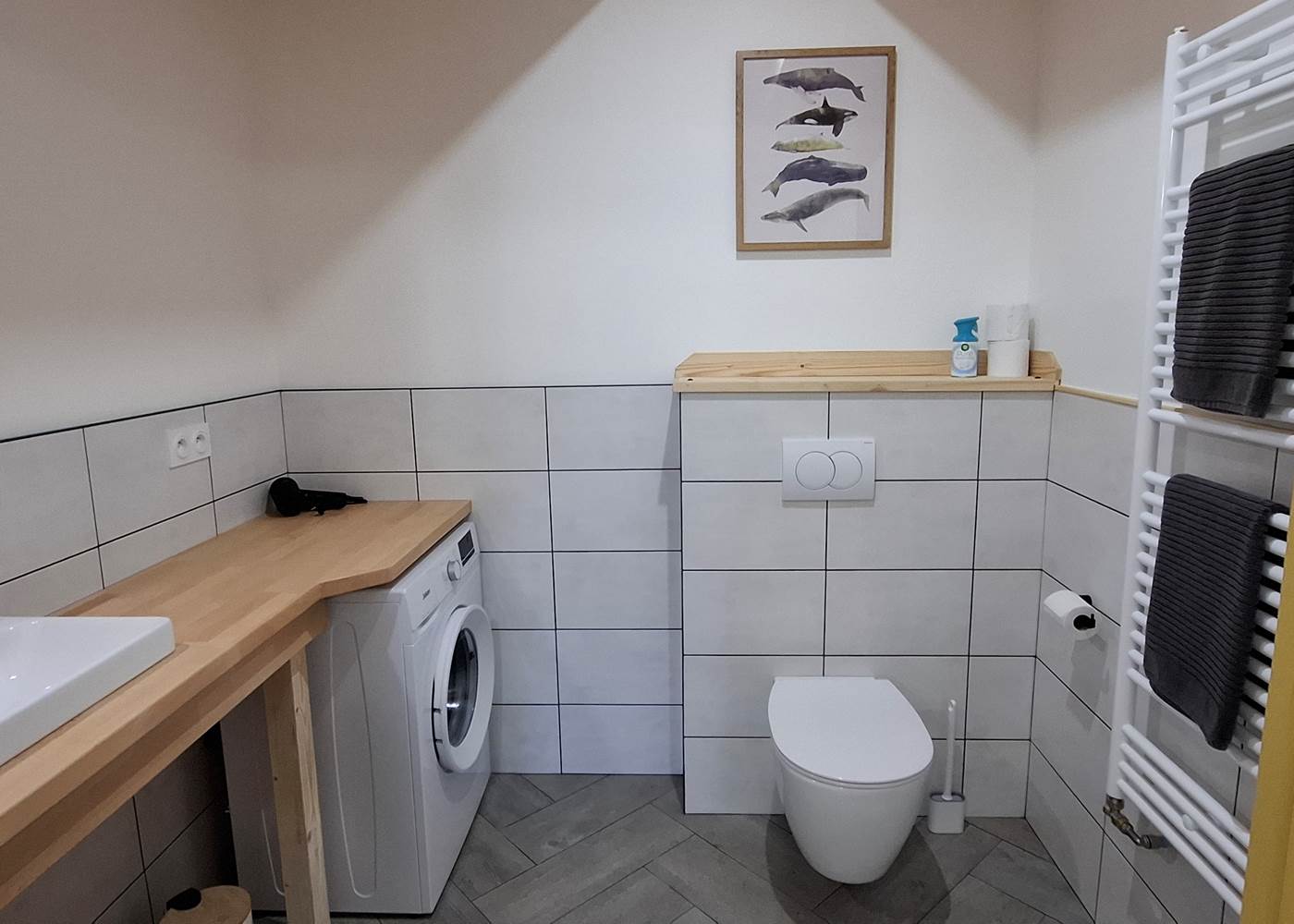 Salle de bain 2 - Douche + wc + lavabo + machine à laver