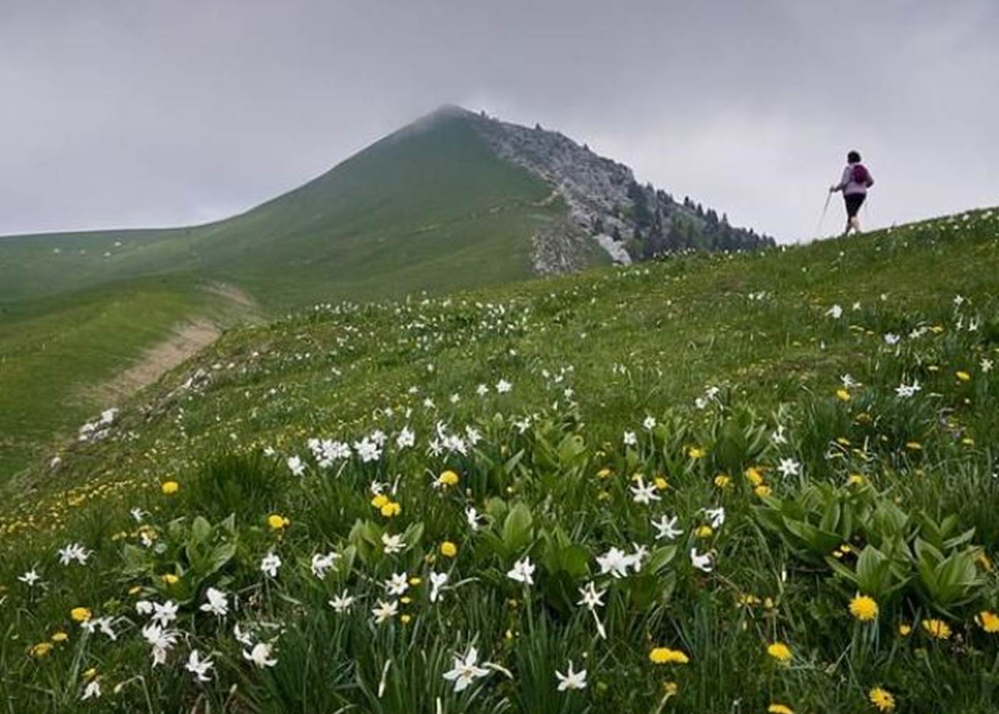 les chaumes au printemps