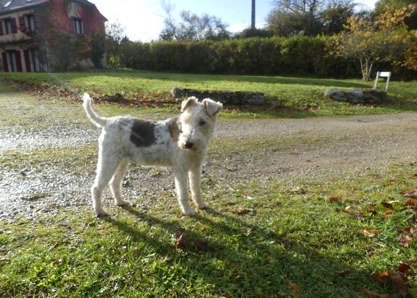 Gélyne Gravier Gramat