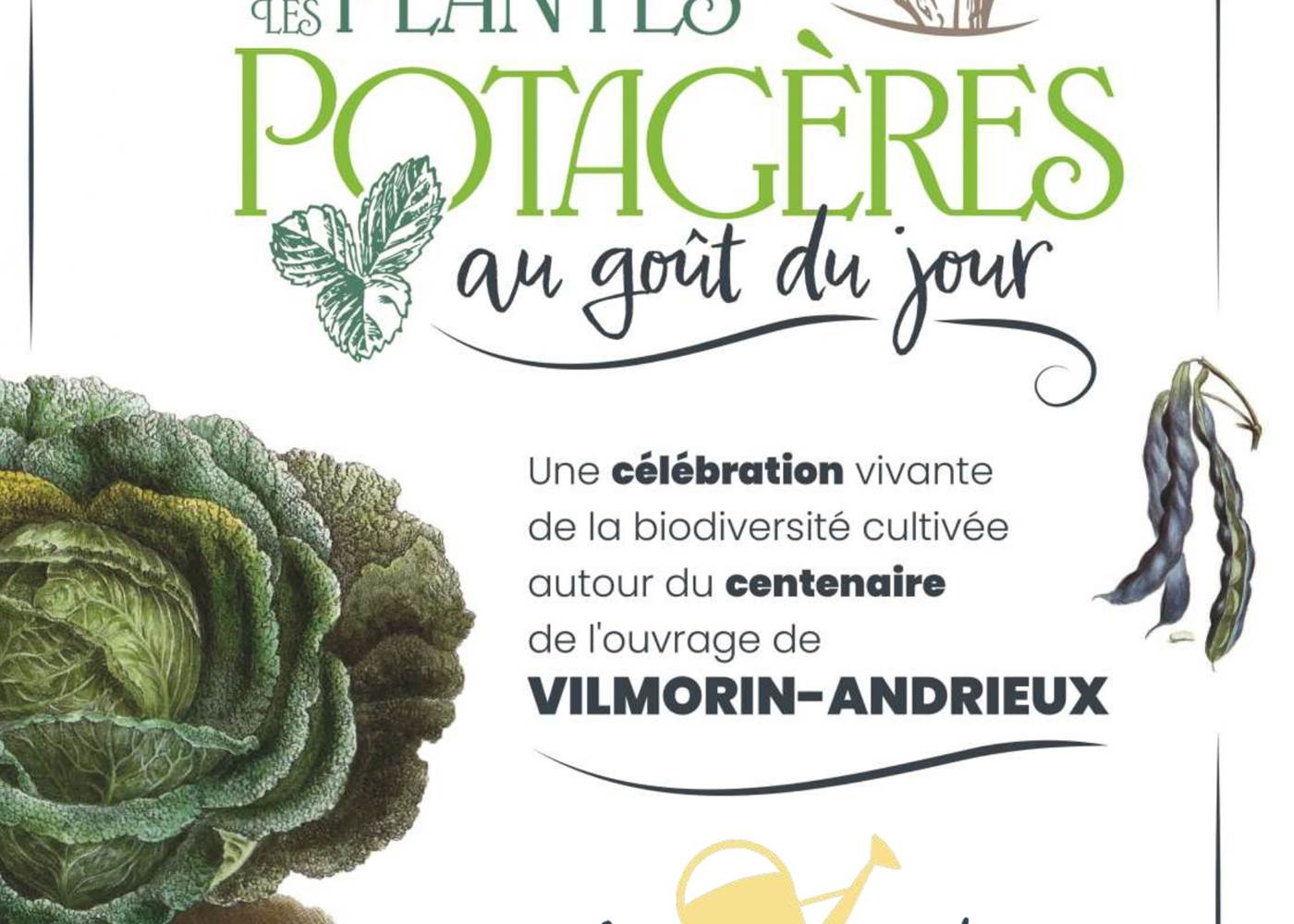 Exposition Les plantes potagères au goût du jour