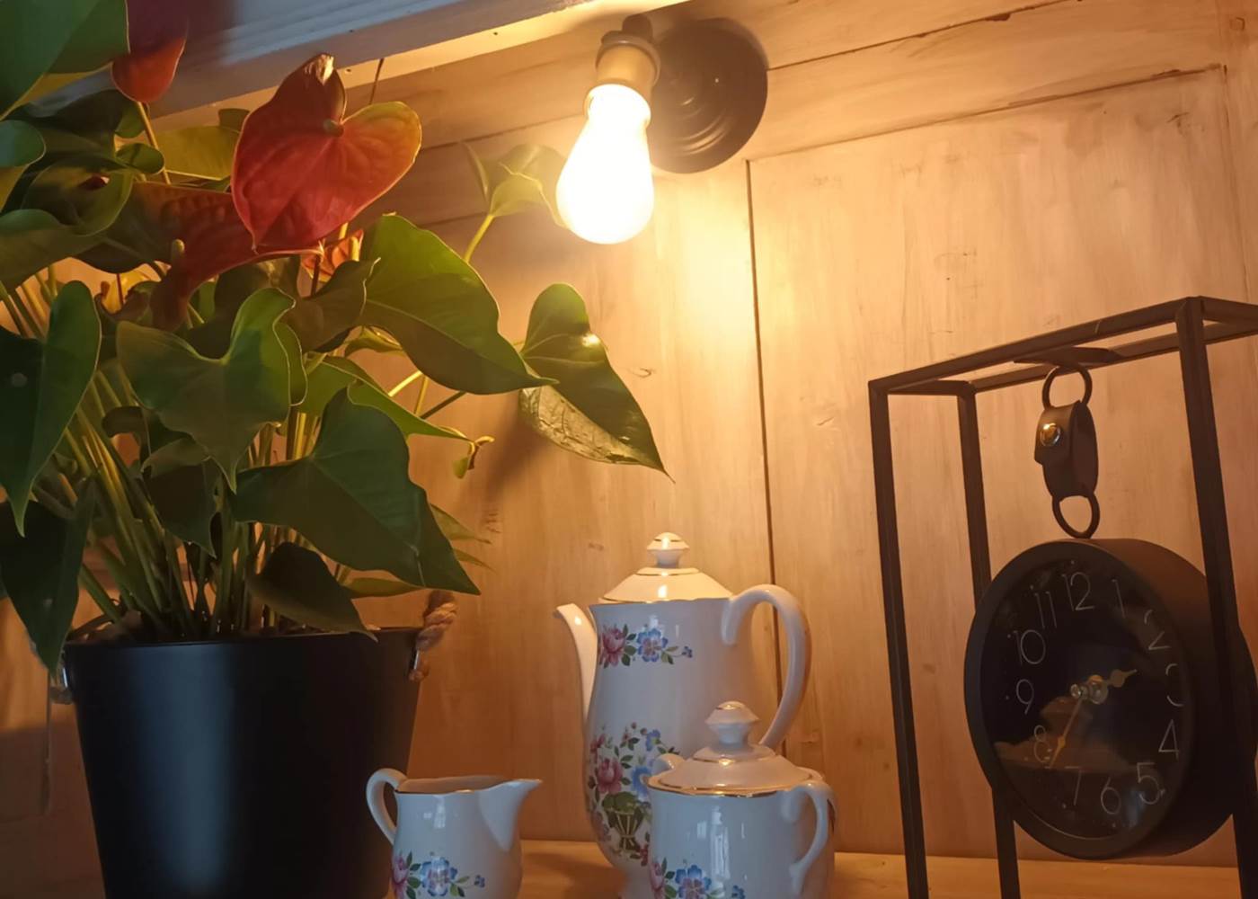 20241020_085939500_iOS