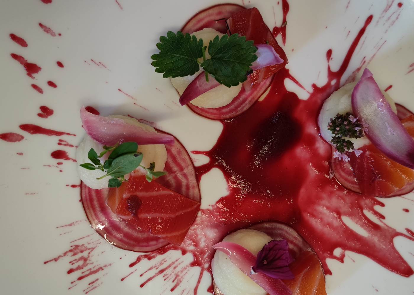 saumon gravlax a la betterave rouge, pickles de radis