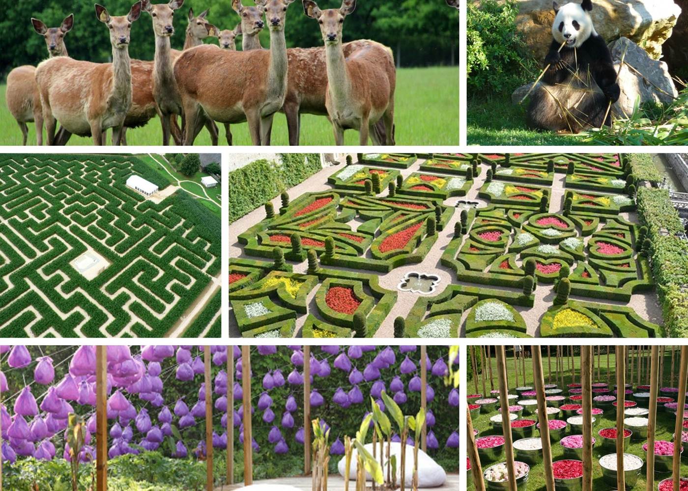 Domaine du Gué du Roi Tourisme Sologne et Nature