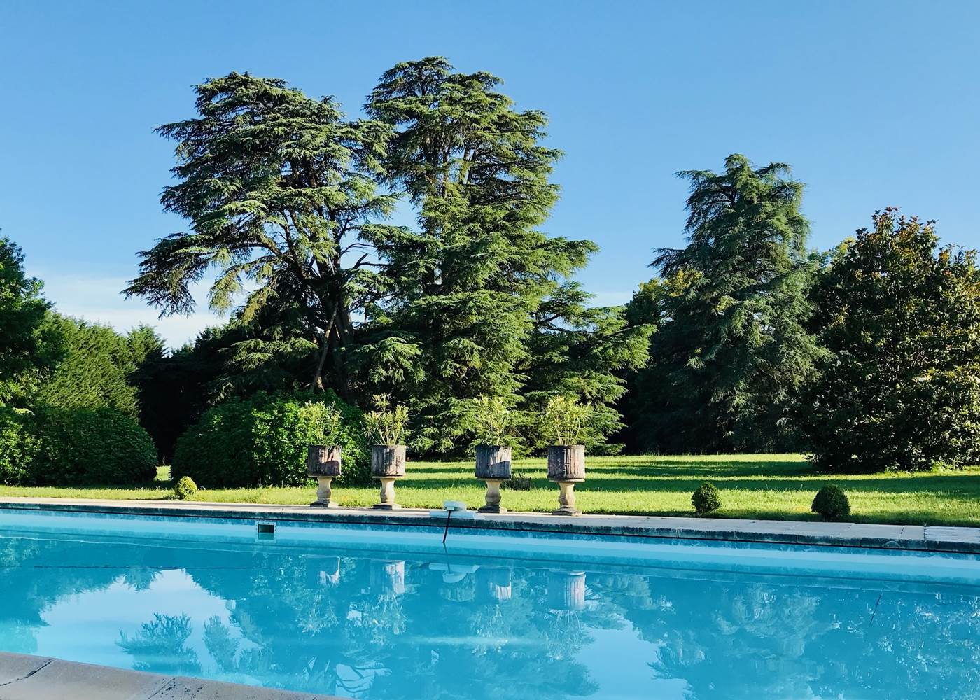 Château de Lasteyrie_Piscine dans le parc
