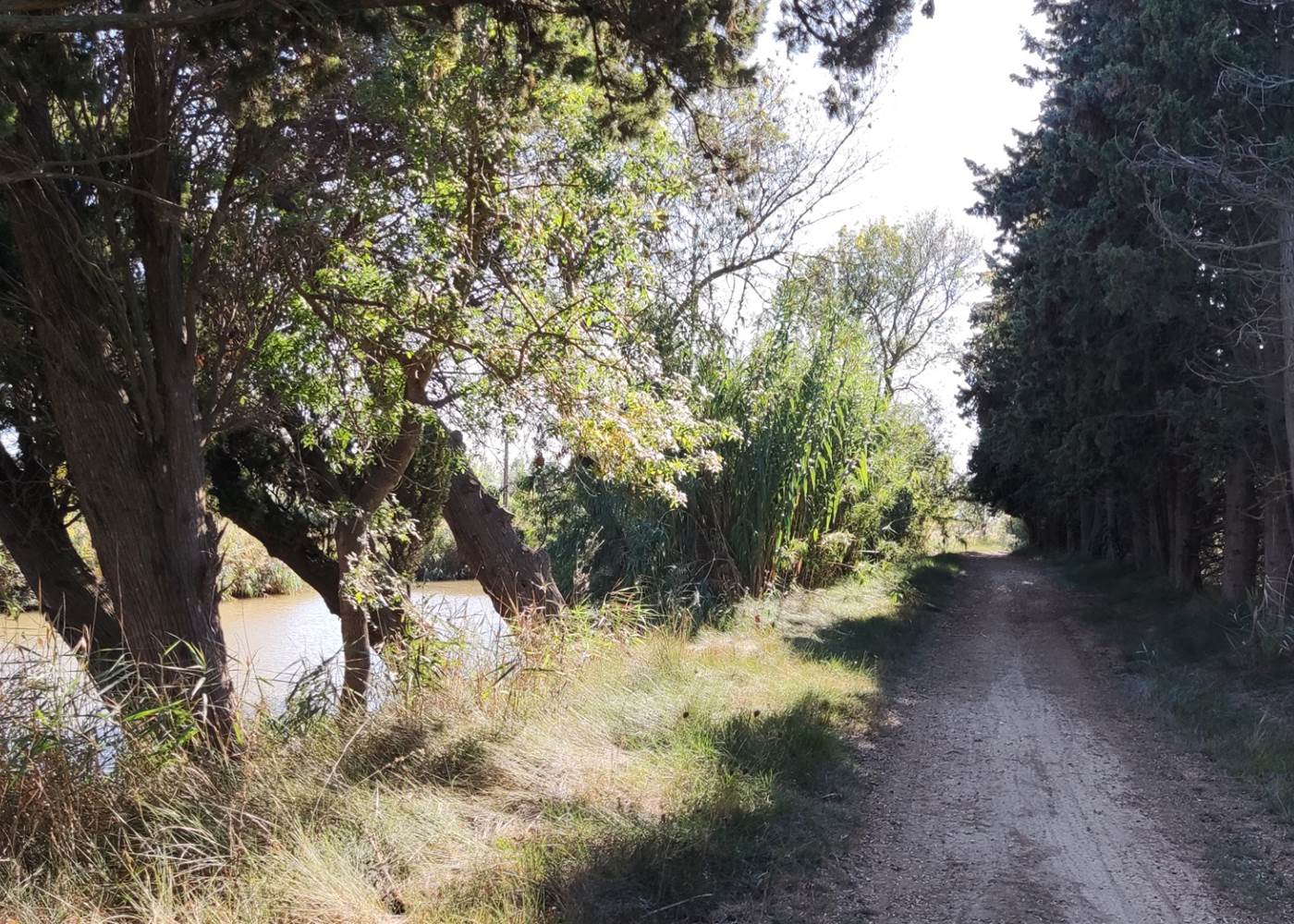 Le chemin de halage à Vias-plage