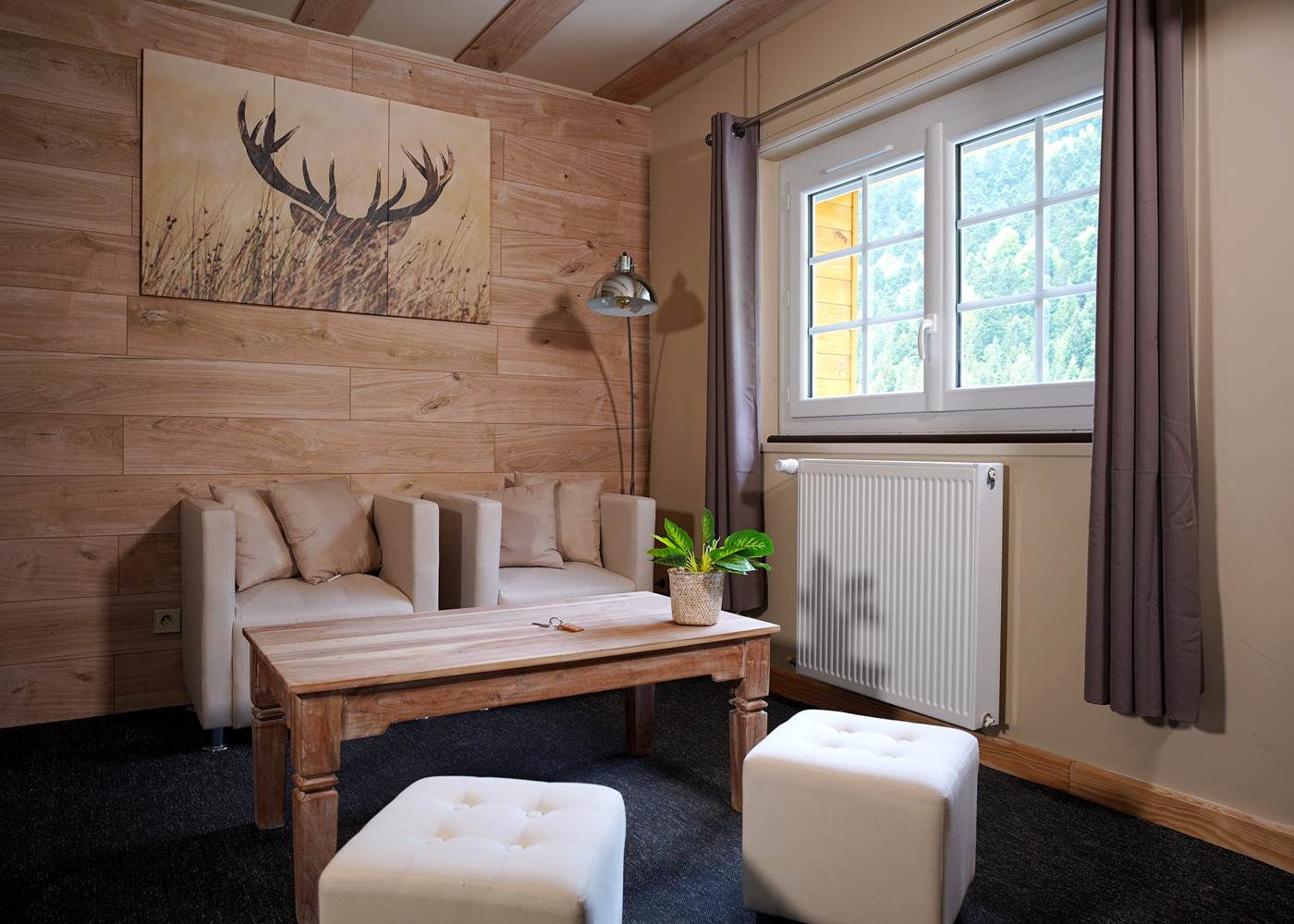 Esprit montagne et design contemporain