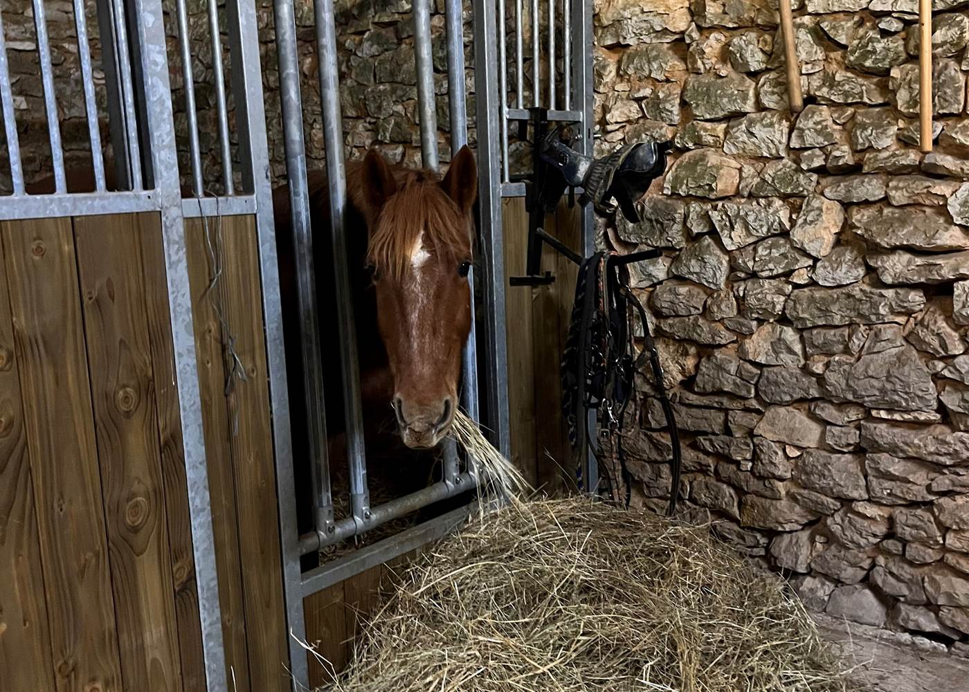 Foin à volonté et complémentation posssible