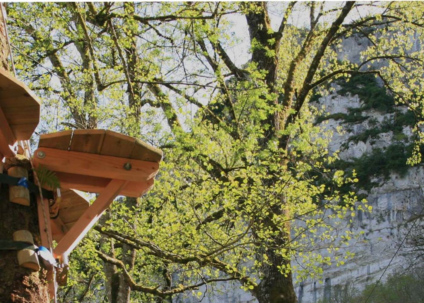 Au coeur des Gorges de l'Aveyron