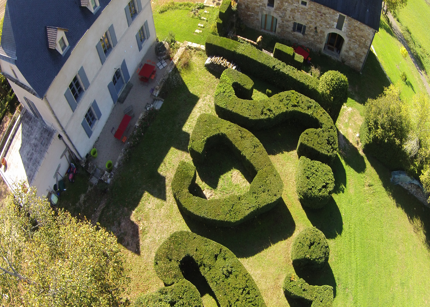 Vue aérienne sur les buis centenaires