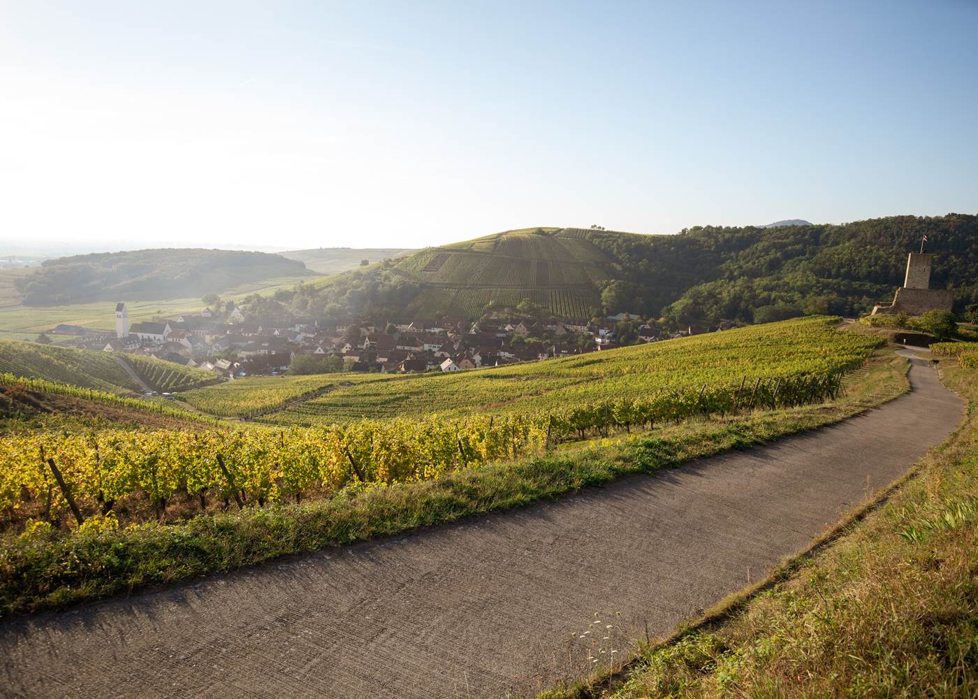 un charmant point de départ entre vigne et forêt
