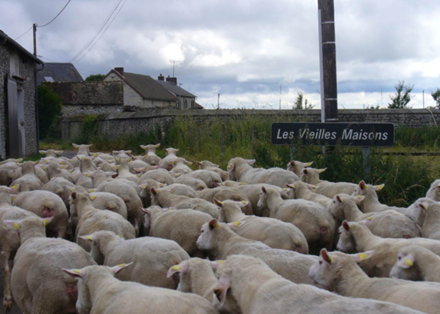 Ferme des vieilles maisons