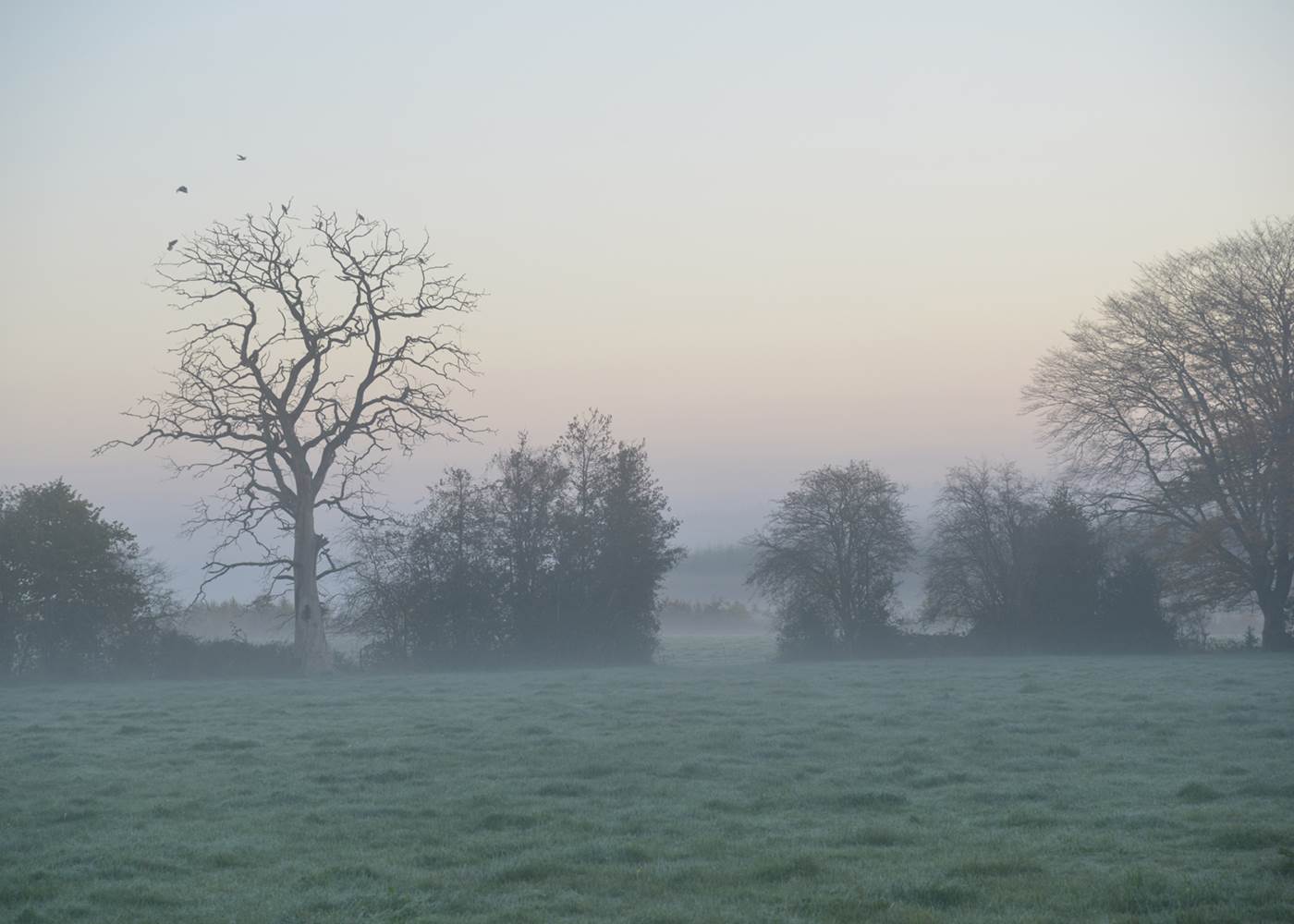 Insolites Chimay aube