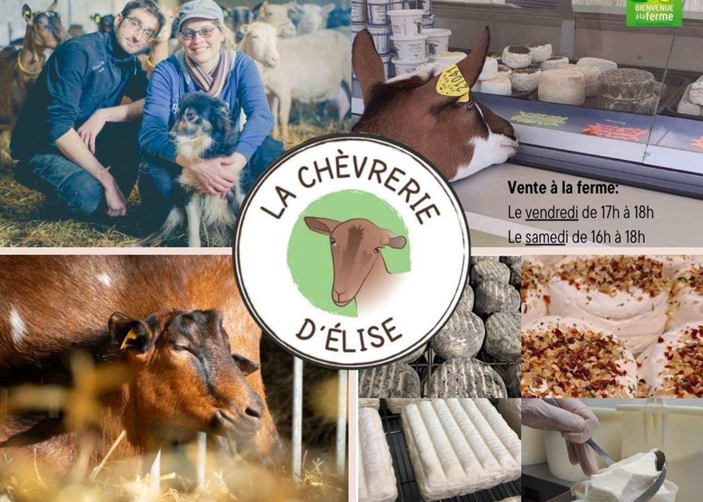 La Chèvrerie d'Elise