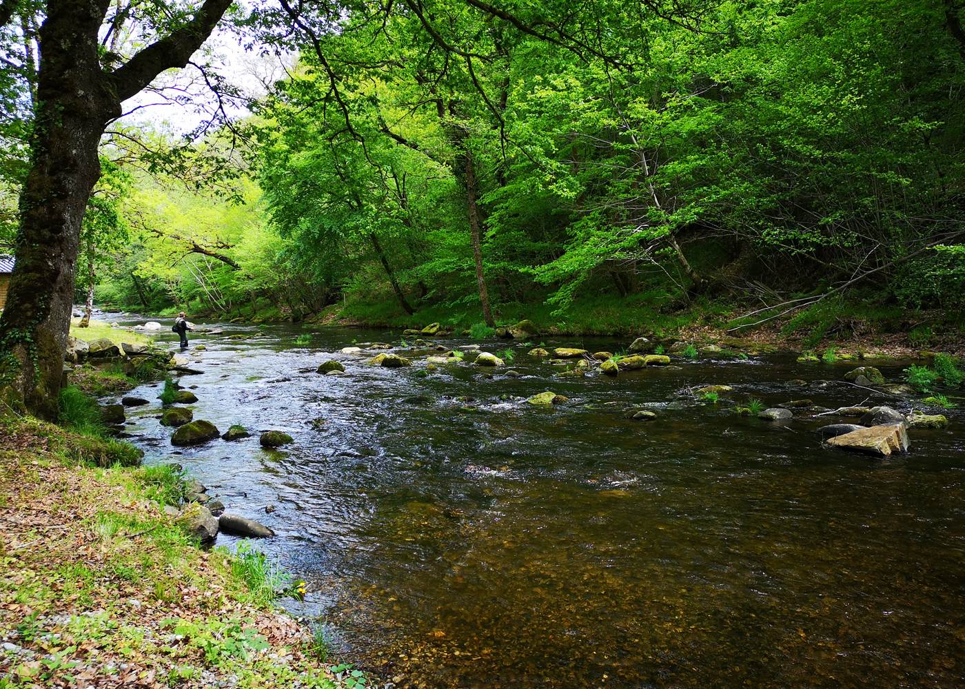Vézère ©OT Terres de Corrèze