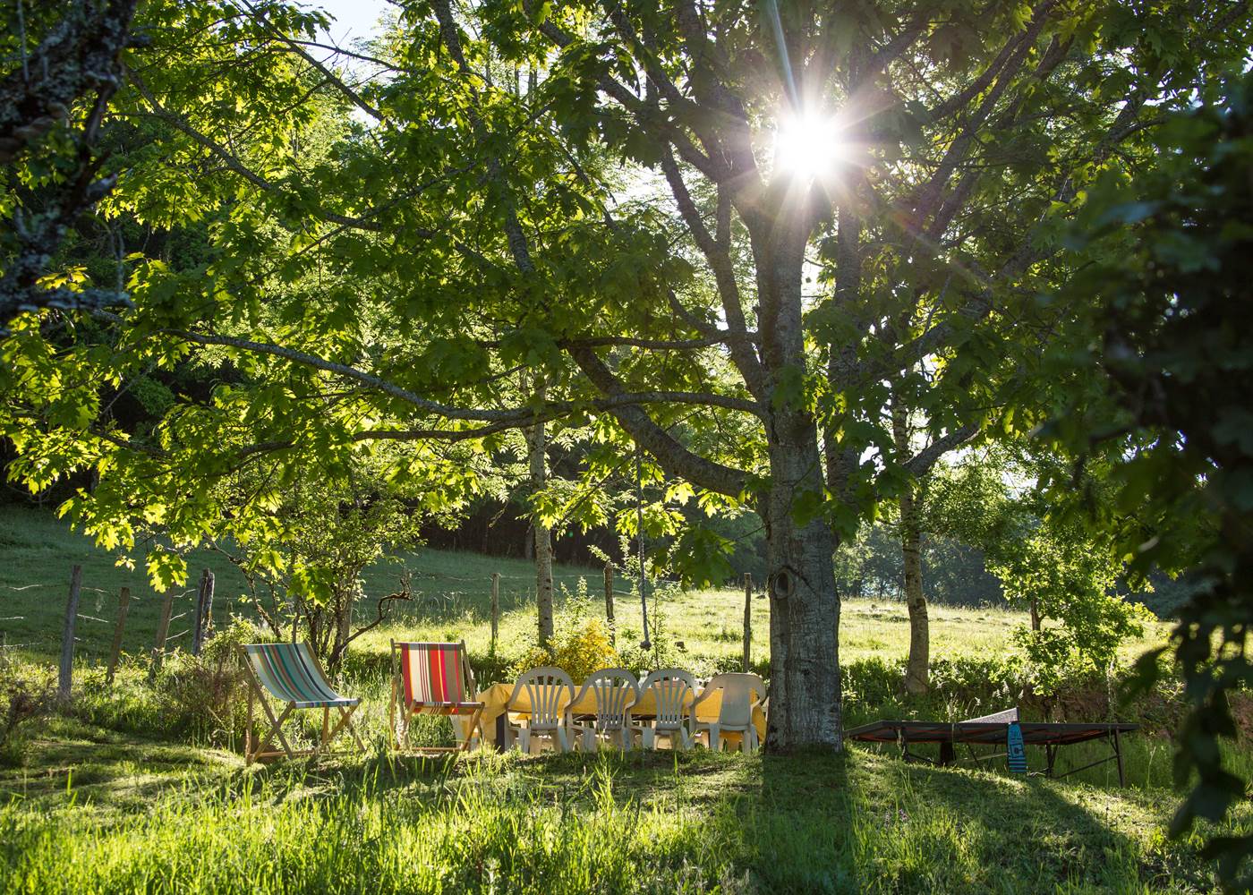 Le jardin de Casastelle au soleil du matin
