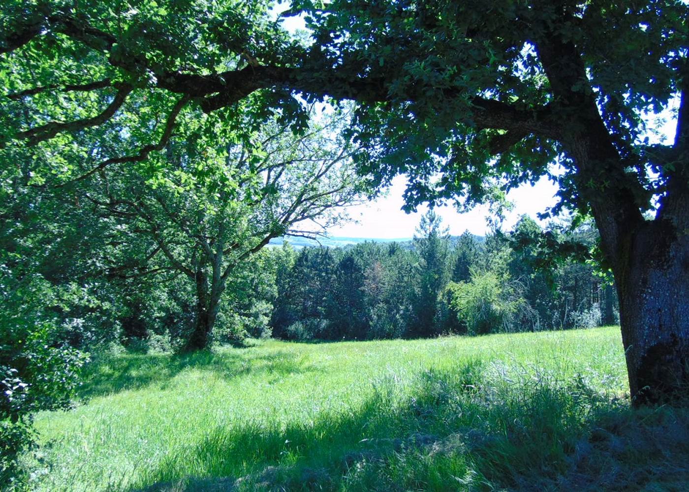 La nature au coeur de votre séjour