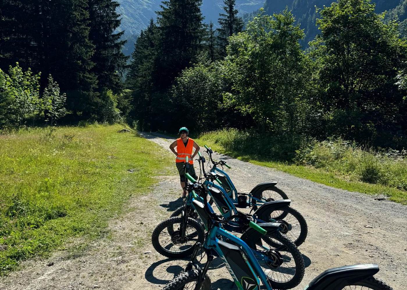 Vue massif Mont-Blanc