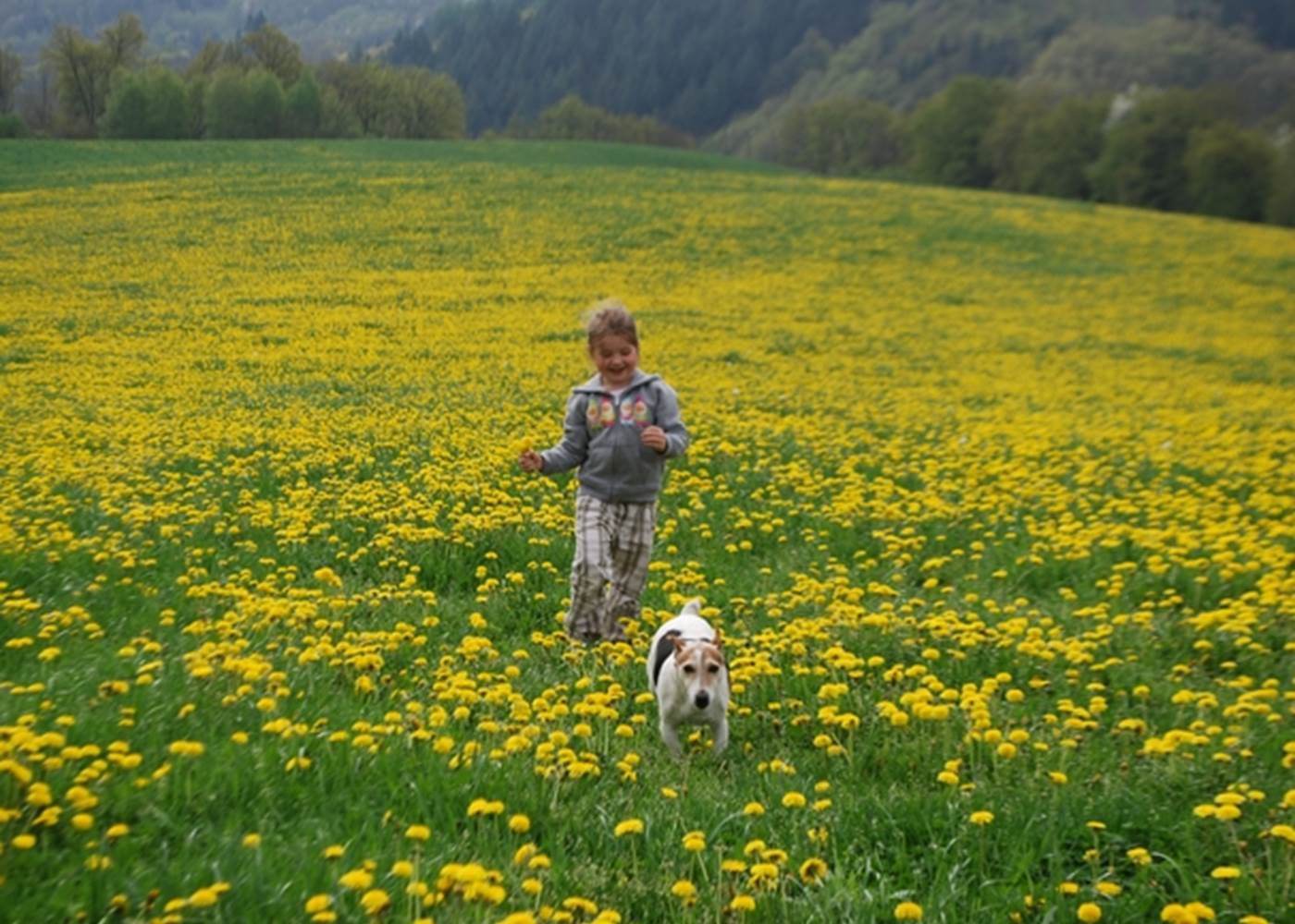 printemps, pissenlits, évasion, la Nature se réveille au Ranch des Lacs