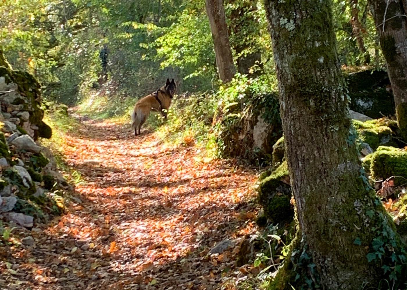 Le Compostelle - GR 6