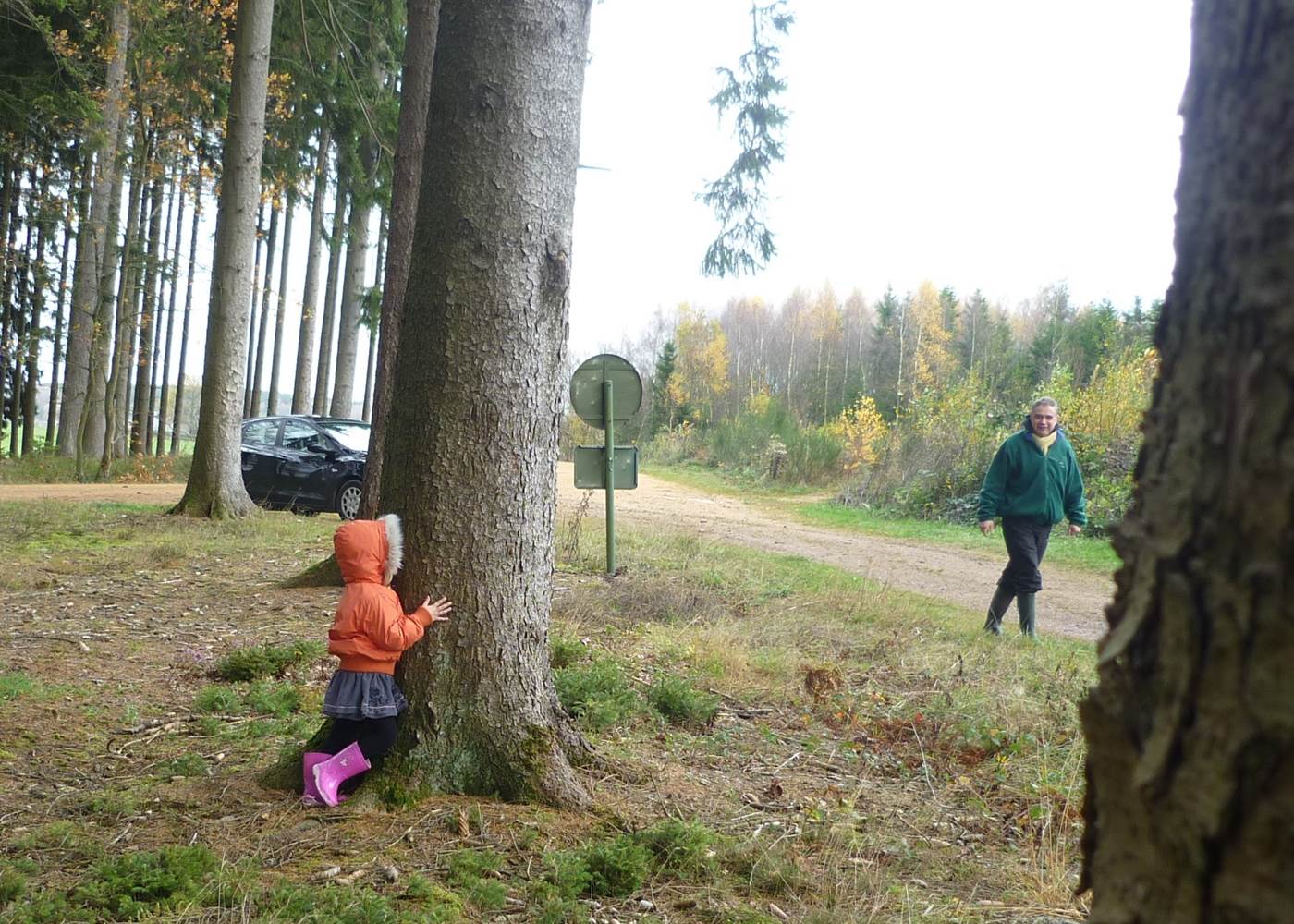 Les découvertes en forêt et ses parties de cache cache