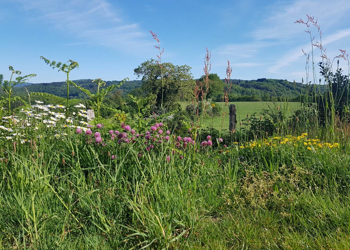 vue devant la Maison du Masjoubert chambre d'hôte Augne