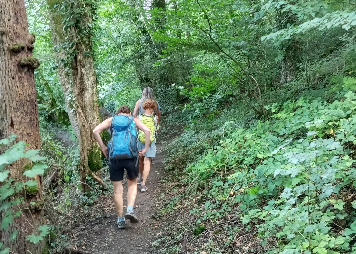 les activités du parc ESEM