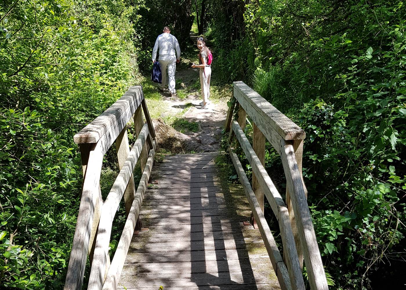 Le marais du Quellen par Le Colombier Bretagne