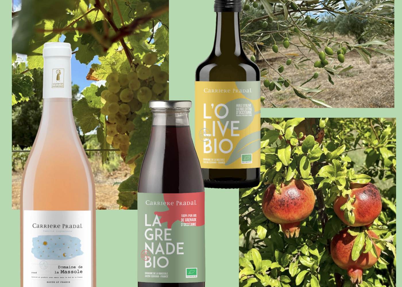 Croisière avec dégustations