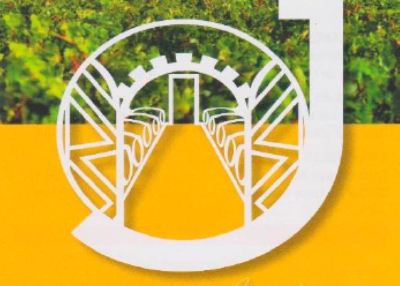 les caves viticoles Jolly