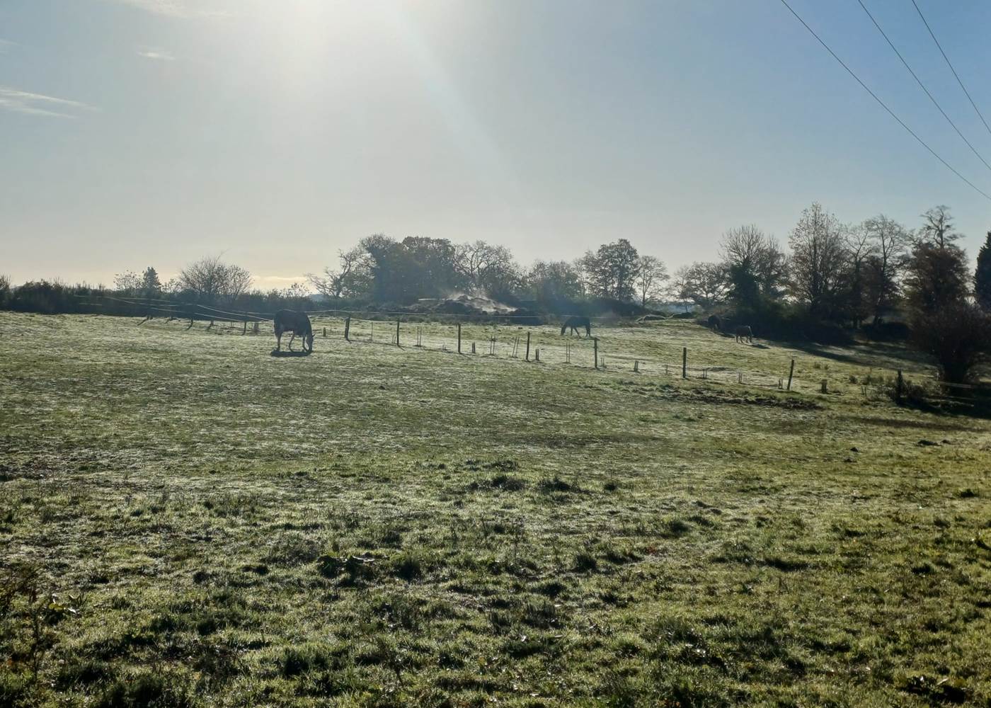Chevaux au pré toute l'année