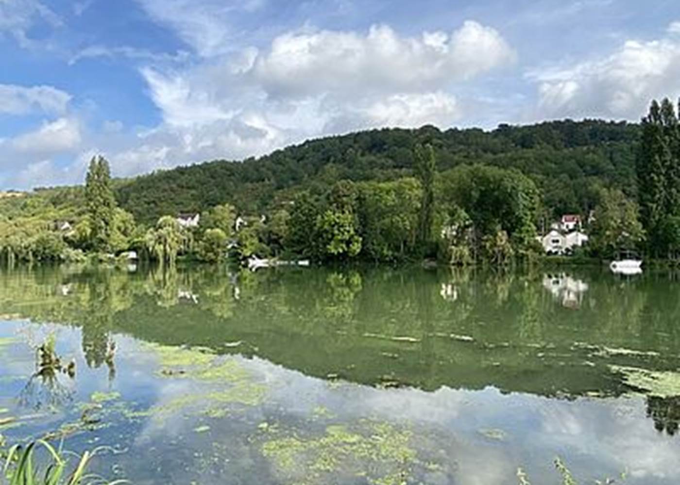 Parc ornithologique Mantes-la-jolie