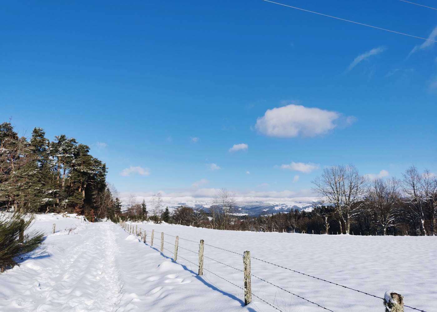 Balade autour du gîte dans un paysage enneigé