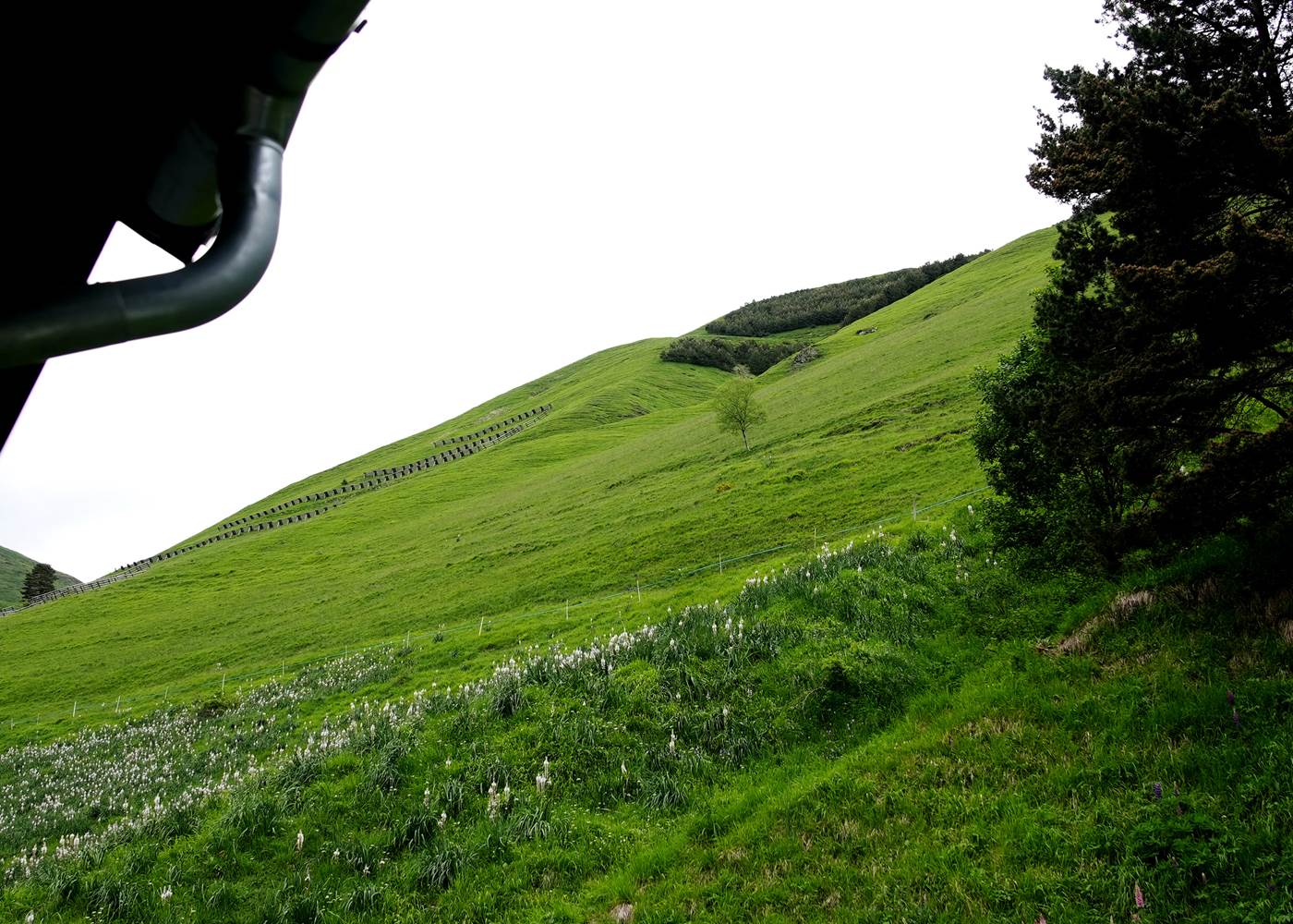 Vue sur la nature pyrénéenne