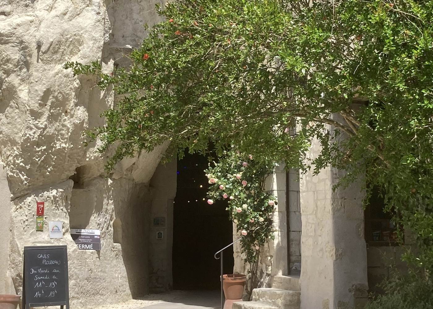 Cave M.Plouzeau à Chinon