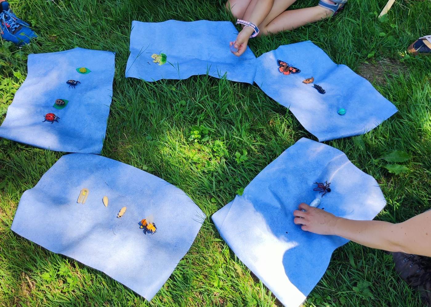 Découverte de la biodiversité avec Natura Tellae