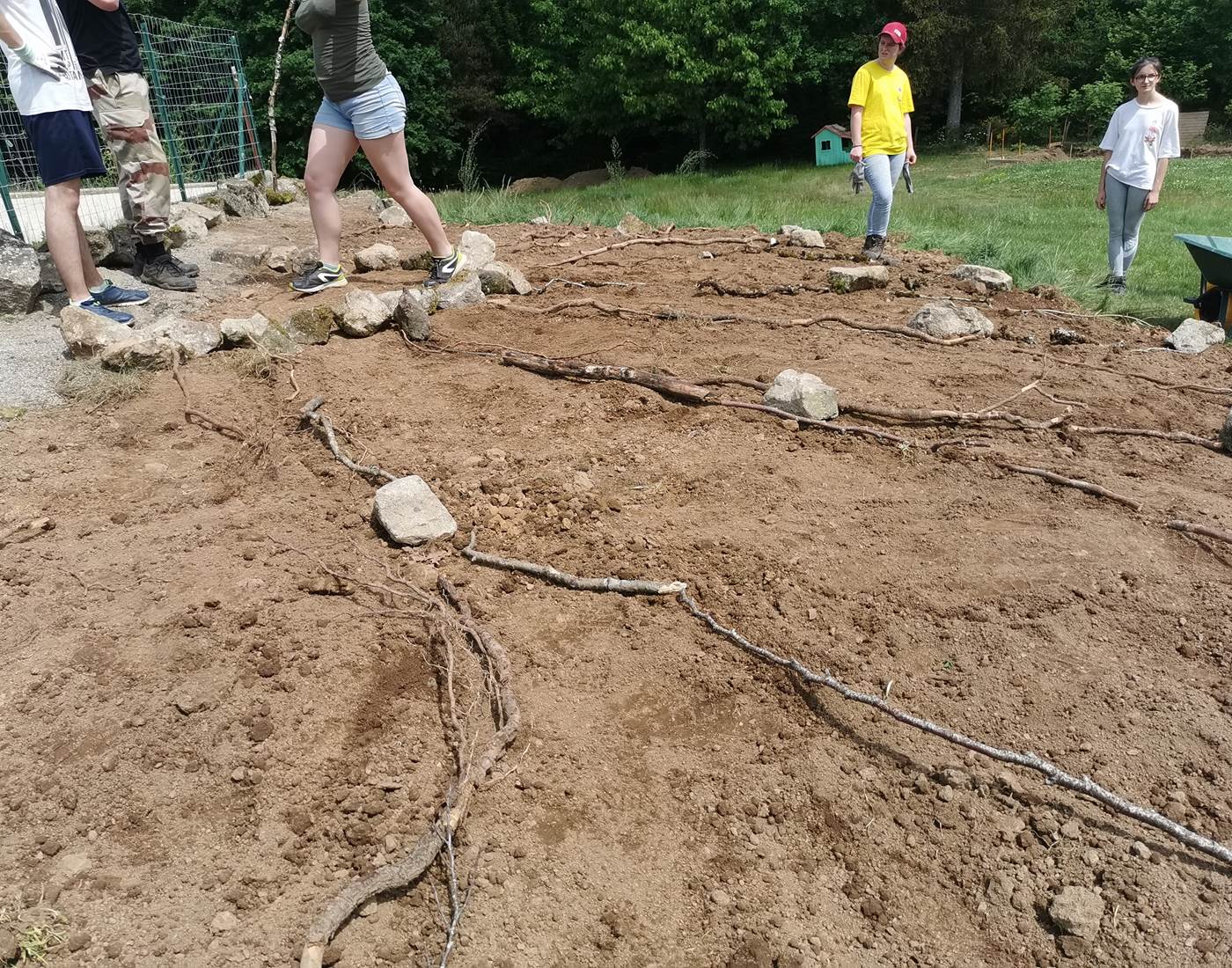 La fleur se dessine au sol