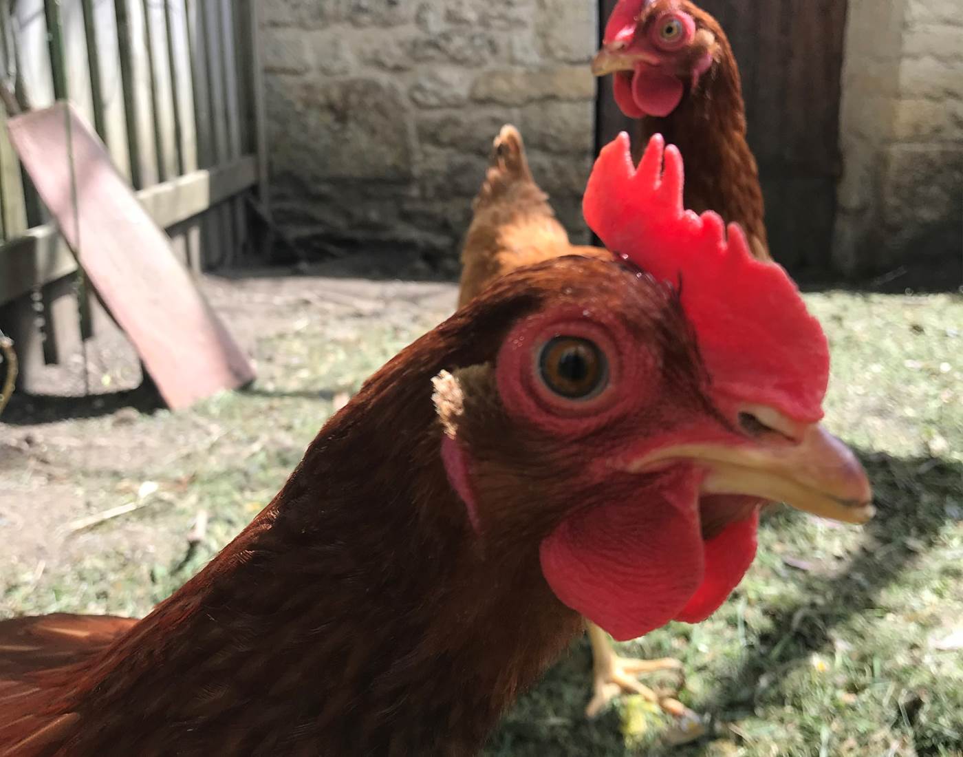 DEVELOPPEMENT DURABLE ET PROTECTION DE L'ENVIRONNEMENT-page