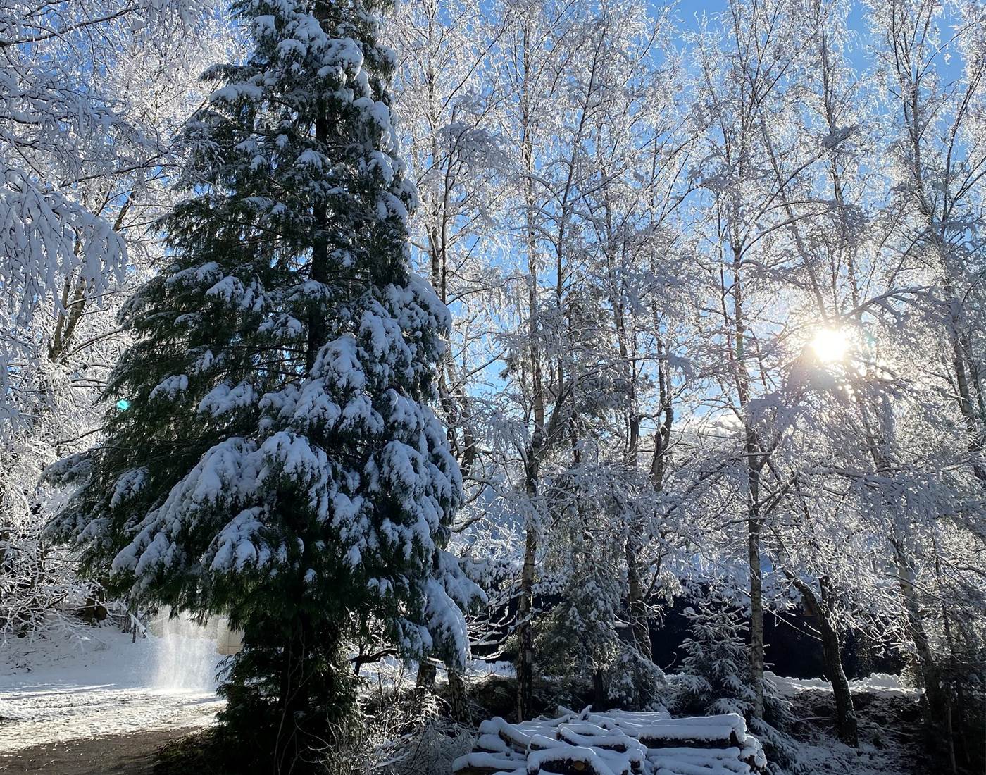 Domaine du Hygge Chalets Lodges & Spa