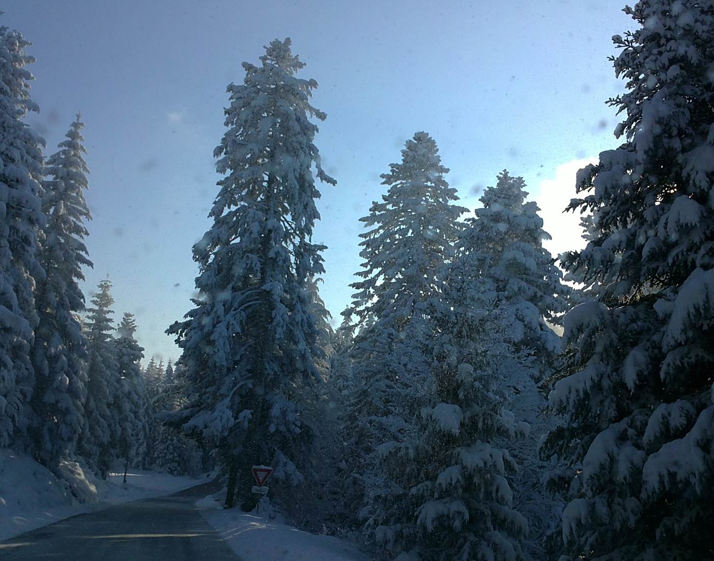 Vers une journée de ski de fond