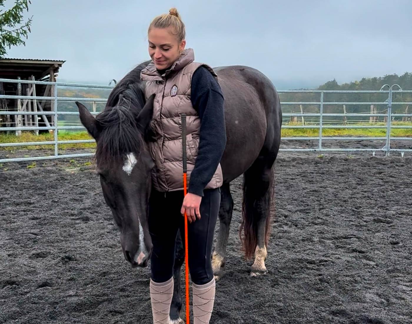 Travailler en confiance et en respect mutuel : ma passion pour l'équitation éthologique-page