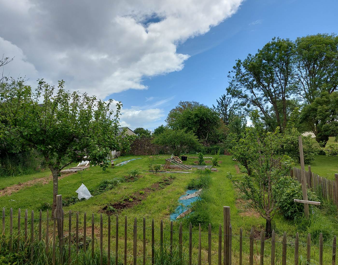 Le potager en permaculture