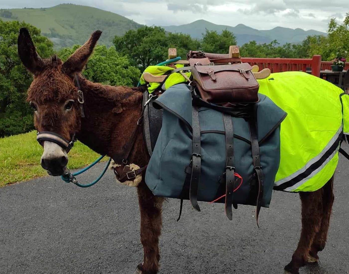 COMPOSTELLE OSTABAT GITE ANE-news