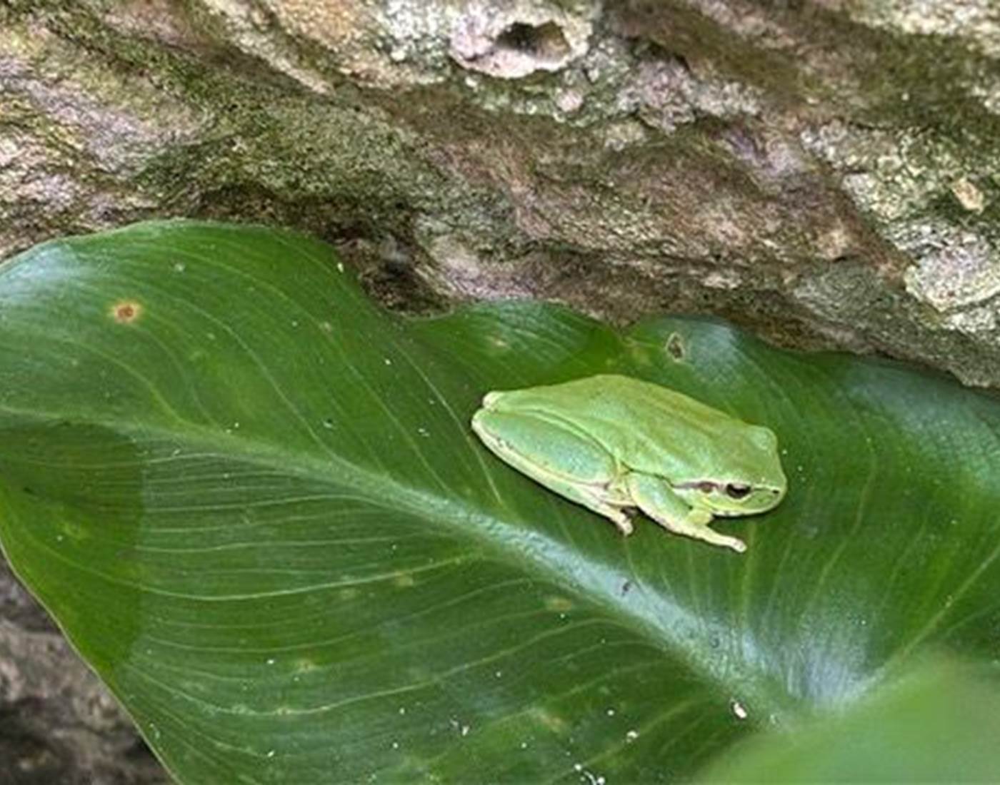 Les jardins : jardin haut et jardin bas