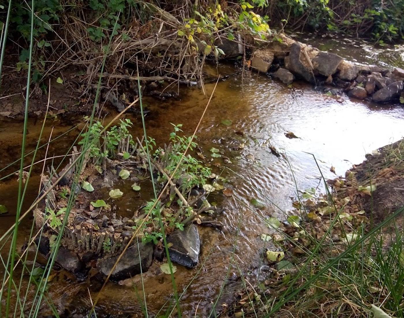 le ruisseau, het riviertje