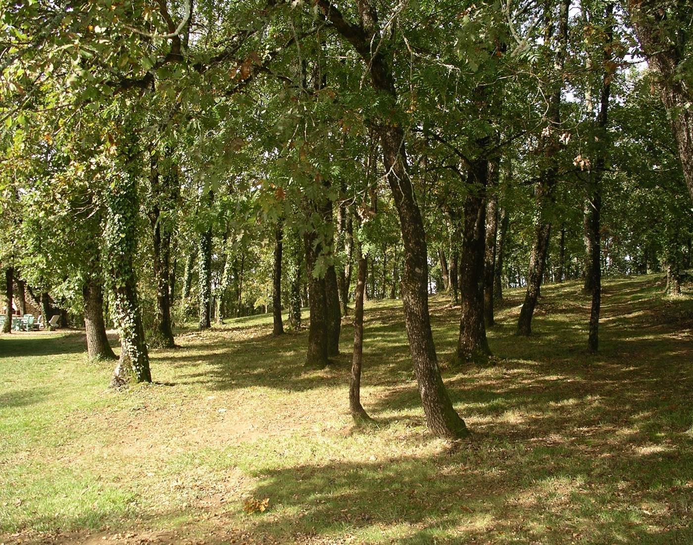 bois-chambres-d'hotes-dordogne-feuillantines-page